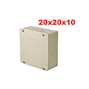 CAJA PASO 20X20X10
