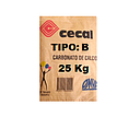 CARBONATO DE CALCIO TIPO "B"