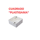 [CAJE-052] CAJETIN CUADRADO "PLASTIGAMA" 10X10 PLASTICO